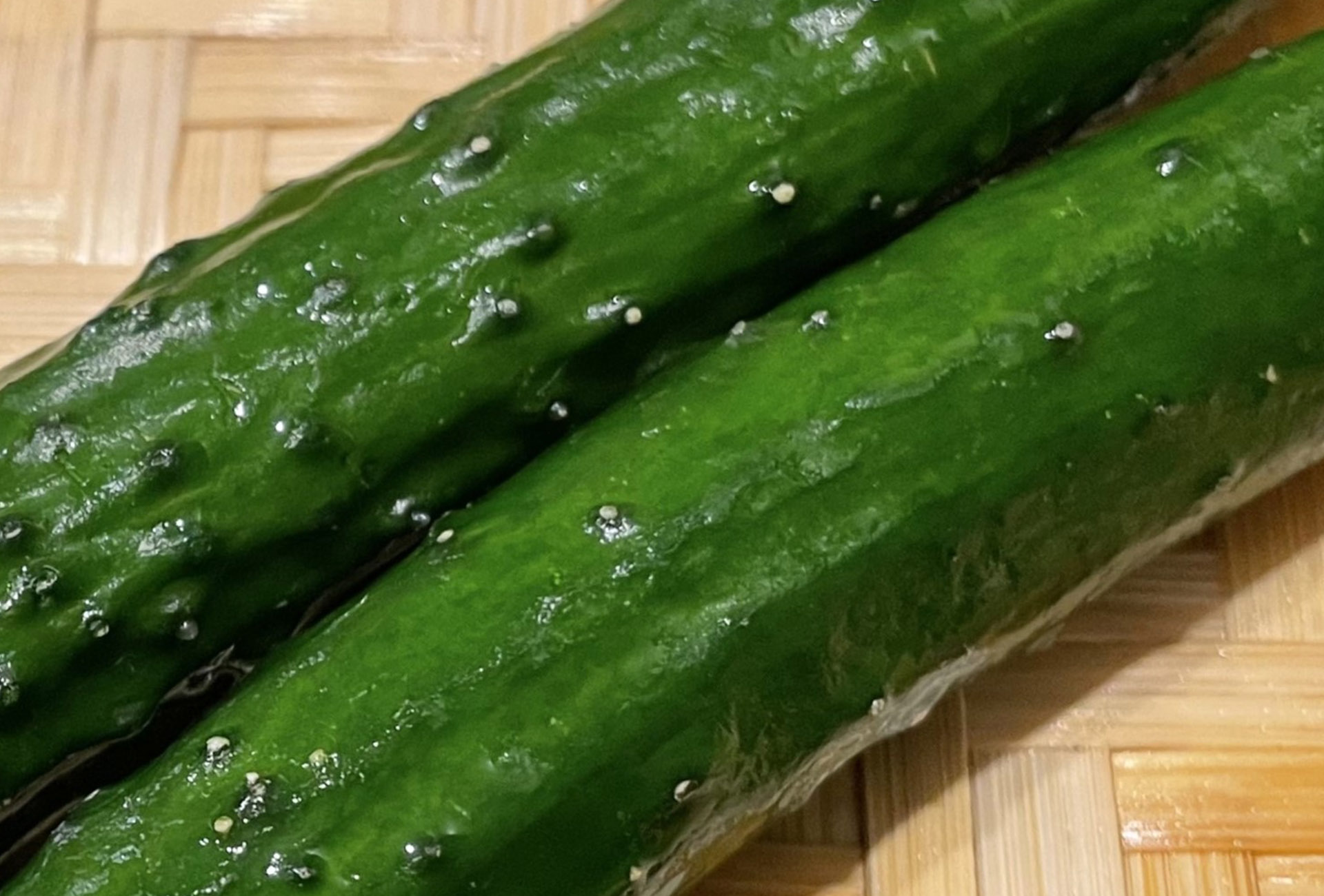 鮮度を物語るトゲ