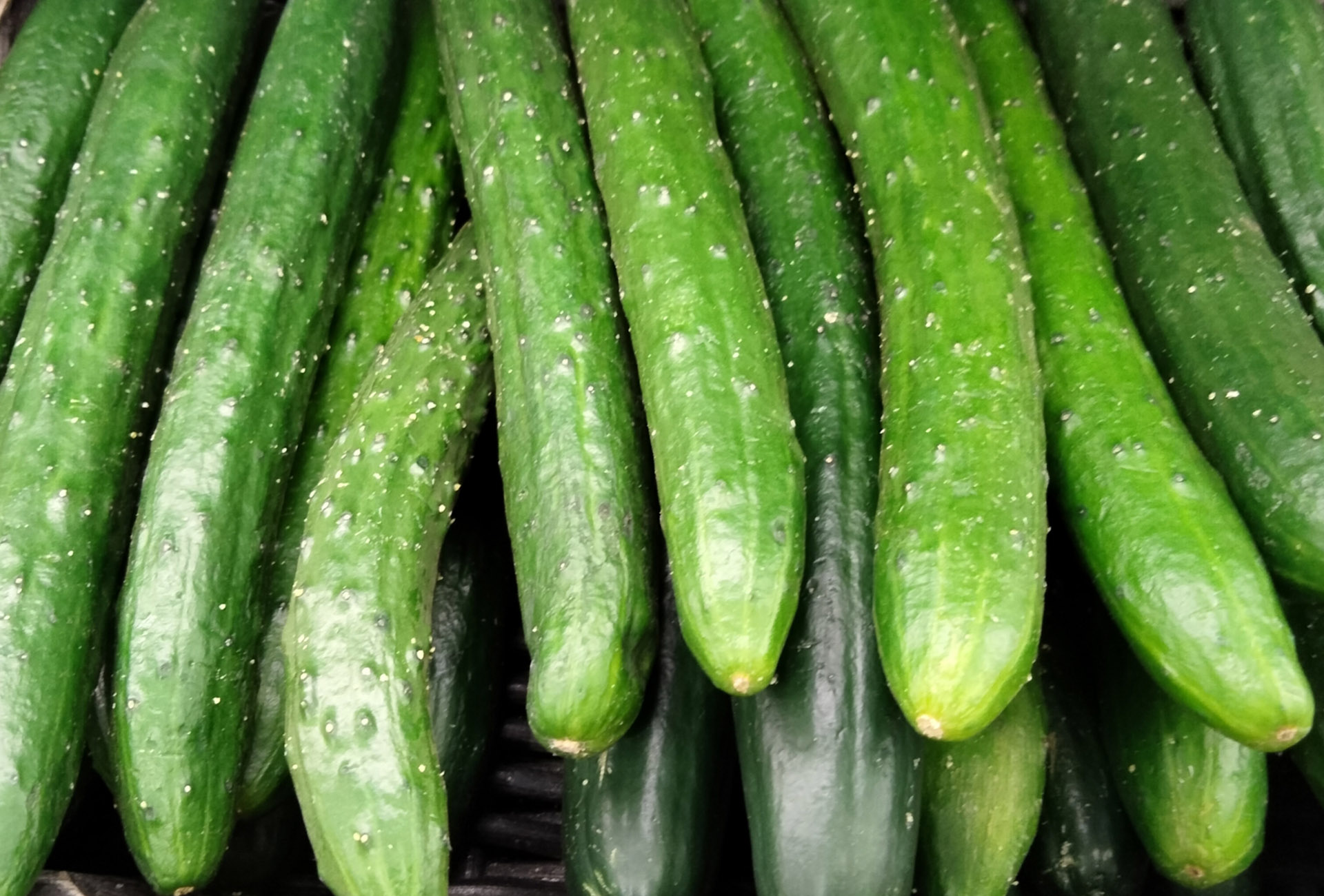 安定出荷で計画的な加工が可能