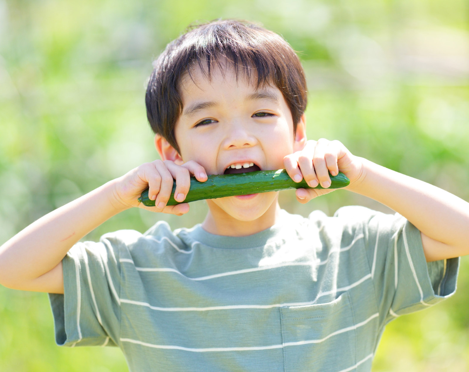 水分だけではなく栄養も豊富