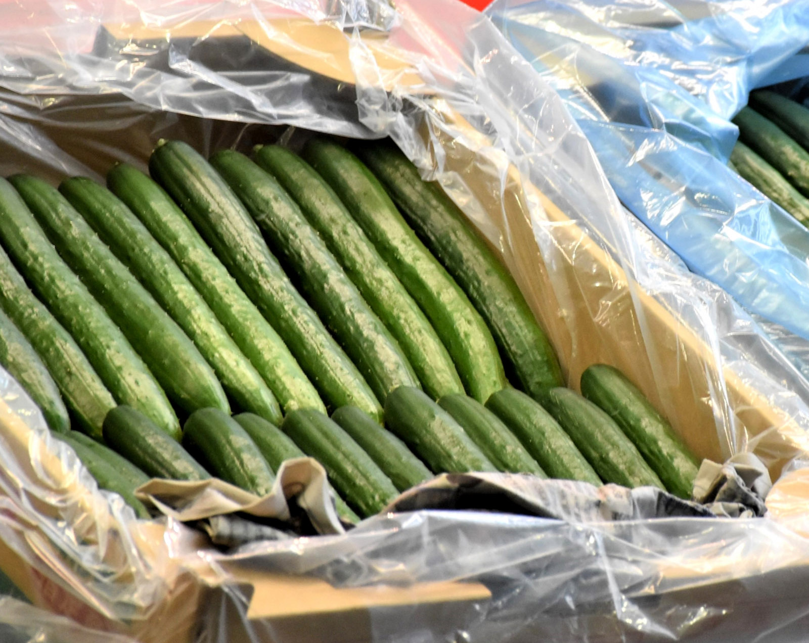 その日のうちに出荷