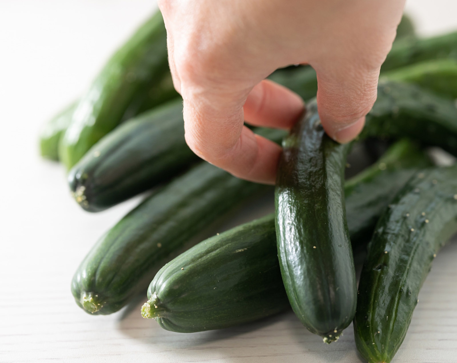 きゅうりの苦み