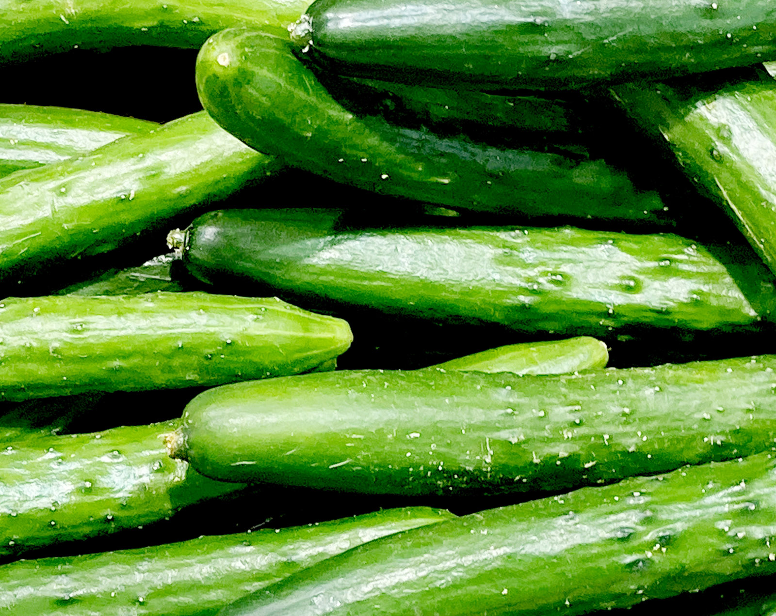 必要な量をご提供