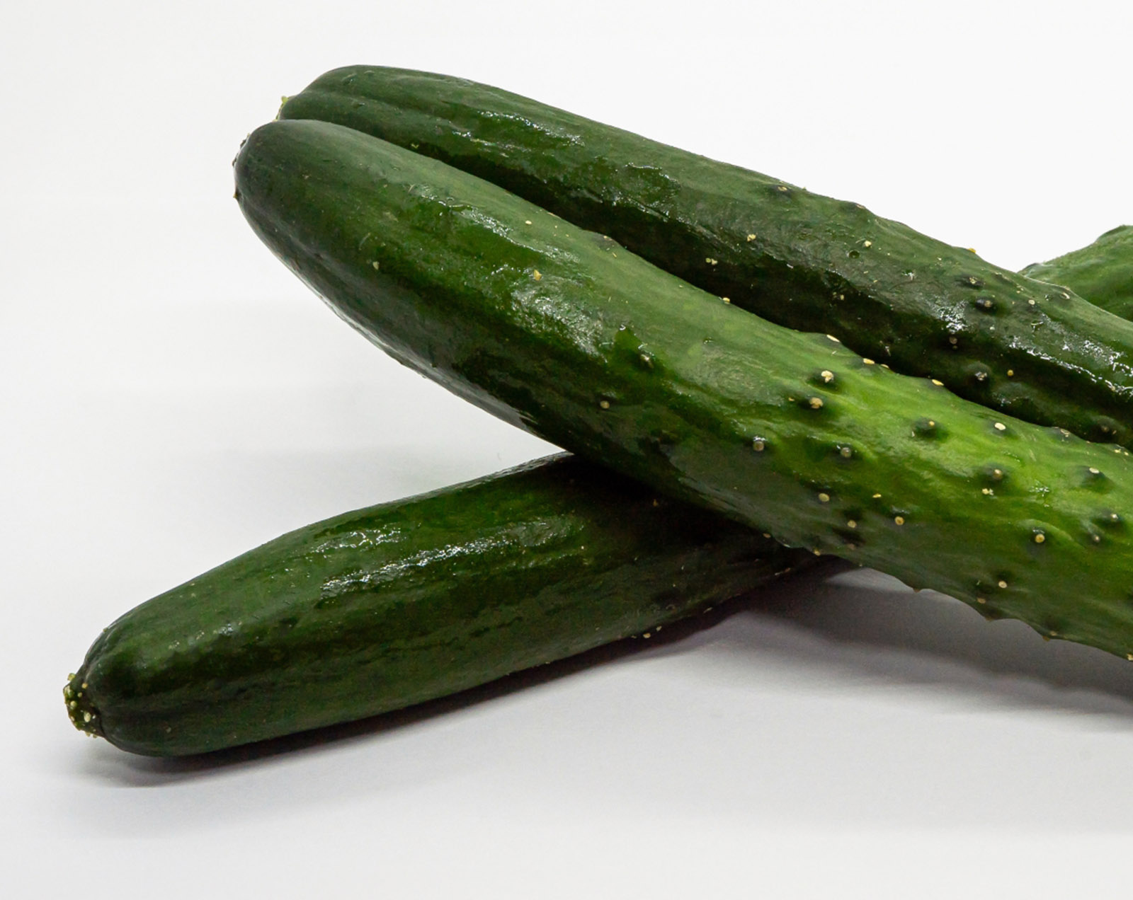 サンプル配送ご相談可能